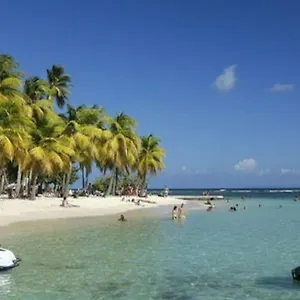 Secteur Prise, Corail, Casa Boubou Sainte-Anne (Grande-Terre)